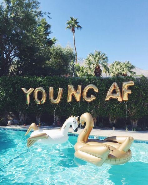 Ashley Torres on Instagram: “this is 30  // @funboylife floaties FTW // #pursuing30 #youngAF” Swan Pool Float, Pool Diy, 25th Birthday Parties, Birthday Goals, Fiesta Tropical, Inflatable Pool Floats, 30th Birthday Parties, Pool Floats, 17th Birthday