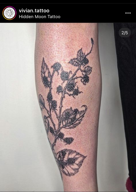 Raspberry Bush Tattoo, Hawthorn Bush, Bush Tattoo, Thorn Bush, Blackberry Tattoo, Patchwork Tattoos, Thorn Tattoo, Raspberry Bush, Bush Plant