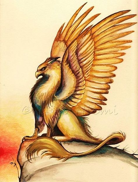 Griffin Griffon Drawing, Griffon Art, Mythology Animals, Griffin Mythical, Beautiful Dragons, Griffin Tattoo, Legends And Myths, Mythical Animal, An Eagle