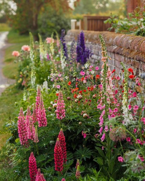 Cottage Garden Bed, Rain Pic, Small English Garden, Cottagecore Garden, Piet Oudolf, Garden Paradise, Cottage Garden Design, Shade Flowers, Evening Light