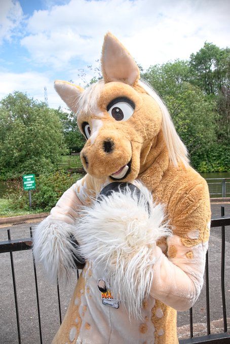 Horse Fursuit, Horse Costume, Fursuit Ideas, Dragon Mask, Cool Fursuits, Animegao Kigurumi, Horse Costumes, Dancing Cat, Disney Park