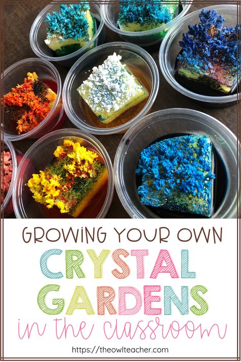 During your rocks and minerals unit, have you ever want to create your own crystal garden or grow your own minerals? This post teaches you exactly what you need to do during your science lesson to make it happen. Minerals Activities, Geology Activities, Grow Your Own Crystals, Owl Teacher, Rock Science, Earth Layers, Growing Crystals, Experiments Kids, Garden Activities