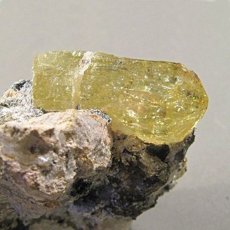 Occurring in a rainbow of colours, this greenish-yellow variety of apatite, often referred to known as ‘the asparagus stone’, is found in Spain. Interesting Crystals, Yellow Apatite, Apatite Ring, Eclectic Jewelry, Magical Stones, Apatite Stone, Paraiba Tourmaline, Royal Jelly, Greek Jewelry