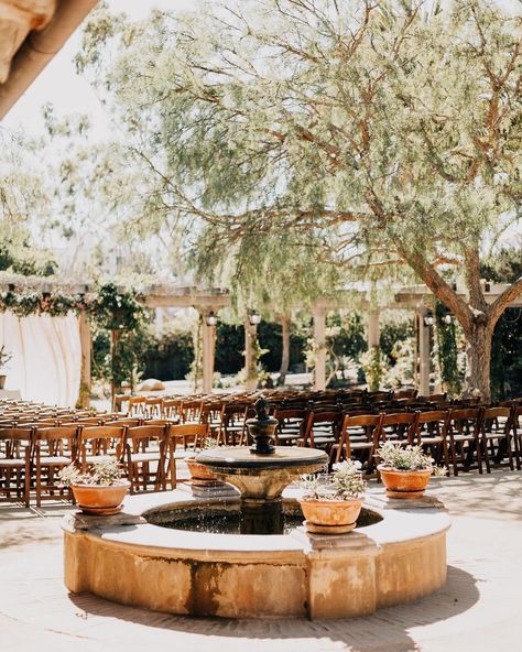 Mauve Decor, Santa Barbara Wineries, Wine Country Wedding Venues, Santa Barbara Courthouse Wedding, Santa Ynez Wedding, Santa Barbara Wedding Venue, Vineyard Wedding Venue, Courtyard Wedding, Mauve Wedding