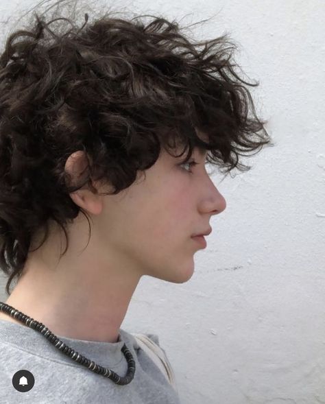 Short Curly Haircuts Masculine, Haircuts For Trans Guys Curly Hair, Short Messy Curly Haircuts, Mid Haircut Men, Masculine Curly Haircut, Thick Wavy Hair Men, Brown Fluffy Hair, Ftm Haircuts, Messy Hair Boy