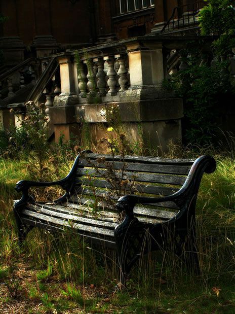 . Old Benches, Urban Exploration, Abandoned Buildings, Garden Bench, Old Buildings, Abandoned Houses, Abandoned Places, Park Bench, Old Houses