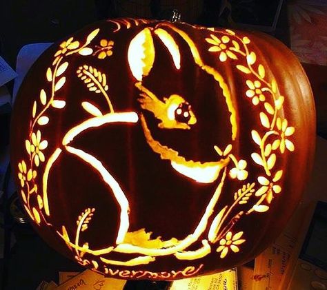 Beautiful carving of a rabbit! #rabbit #rabbits #cuteanimals #bunny #bunnies #pet #pets #october #Halloween #pumpkin Bunny Pumpkin Carving Ideas, Pretty Pumpkins Carving, Punk Pumpkin, Pumpkin Bunny, Bunny Pumpkin, Pumpkin Face Carving, Rabbit Halloween, Halloween Pumpkin Stencils, Cute Pumpkin Carving