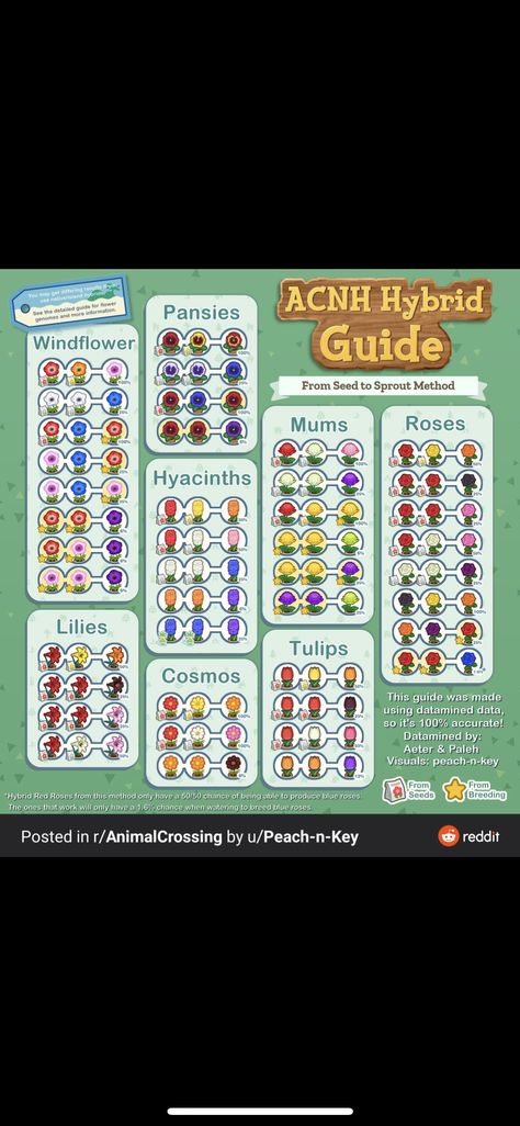 Flower Guide, Animal Crossing Game, Peach Flowers, Animal Crossing Qr, Pansies, Animal Crossing, Red Roses, Tulips, Lily