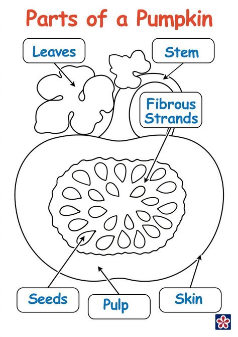 Free Printables of the Parts and Life-cycle of a Pumpkin | TeachersMag.com Parts Of A Pumpkin Craft Preschool, Pumpkin Parts Preschool, Life Cycle Of A Pumpkin Craft, Parts Of A Pumpkin Free Printable, Life Cycle Of A Pumpkin Free Printable, Parts Of A Pumpkin Preschool, Pumpkin Life Cycle Preschool, Pumpkin Cycle, Parts Of Pumpkin