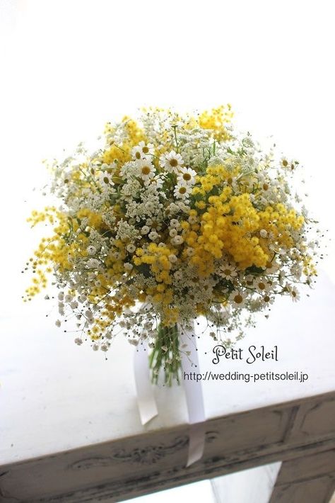 Yellow Mimosa, Bouquet Champetre, Gypsophila Wedding, Sogetsu Ikebana, Mimosa Flower, Yellow Bouquets, Yellow Wedding Flowers, Daisy Wedding, Babies Breath