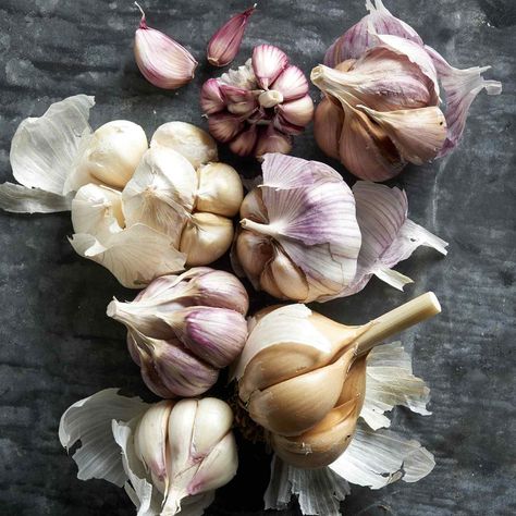 Garlic Companion Plants, Types Of Garlic, Grow Garlic Indoors, Spring Garlic, Plant Garlic, Hardneck Garlic, How To Store Garlic, Garlic Health Benefits, Planting Garlic