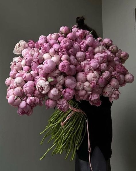 Happy Birthday Greetings Friends, Flower Therapy, Peonies Bouquet, Beautiful Bouquet Of Flowers, Beautiful Flower Arrangements, Peony Flower, Flower Beauty, Flower Centerpieces, Beautiful Bouquet