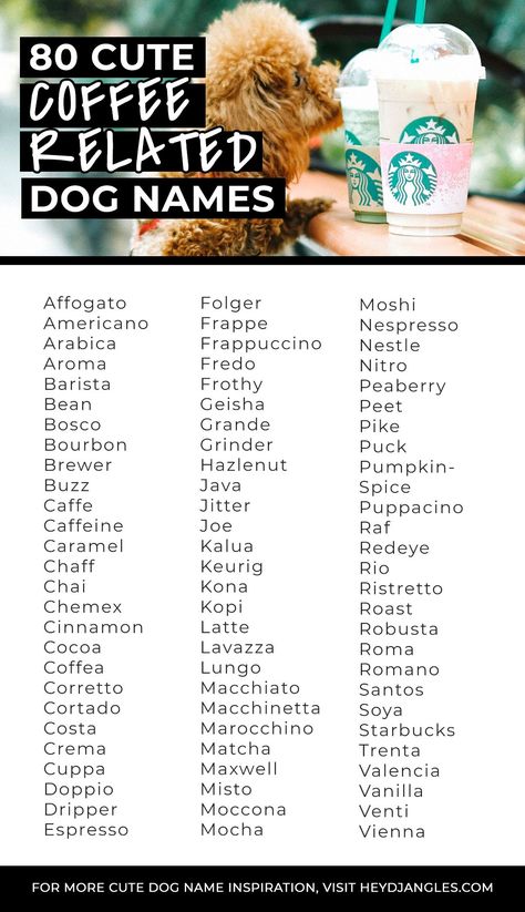 FOR FUN: 80 Best Coffee Related Dog Names and Accessories - Cute coffee dog names include Mocha, Latte, Chai and more! Coffee-themed dog accessories and name ideas #dognames #coffeelover Food Pet Names, Cute Cafe Names, Coffee Names Ideas, Food Dog Names, Creative Dog Names, Cute Dog Names, Dog Name Ideas, Cute Animal Names, Coffee Names