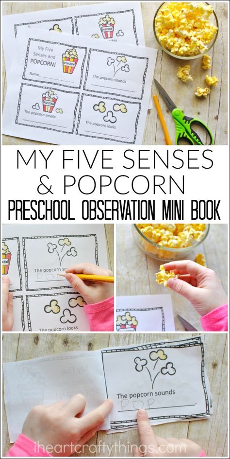 Here's a fun, hands on way to learn all about the five senses in preschool. Use the My Five Senses Preschool Mini Book printable and some popcorn and let preschoolers observe and record all about their five senses. 5 Senses Activity Kindergarten, Taste 5 Senses Preschool, Five Senses Theme Preschool Activities, 5 Senses Popcorn Activity, 5 Senses Preschool Activities, Senses Preschool Activities, Mini Book Printable, 5 Senses Preschool, Five Senses Preschool