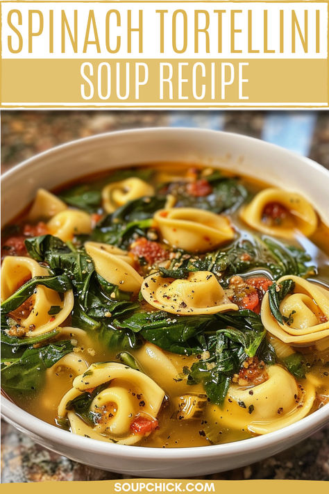 Spinach Tortellini Soup Recipe Crock Pot Spinach Tortellini Soup, Tortellini Soup No Tomato, Spinach And Cheese Tortellini Soup, Tomato Spinach Tortellini Soup, Soup With Tortellini And Spinach, Spinach Florentine Soup, Tortellini En Brodo Soup Recipes, Tortini Soup, Spinach Tortellini Soup Crockpot