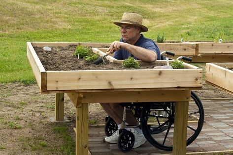 Ways to Make a Wheel Chair Accessible Planter Gardens  #wheelchairaccessibleplanter #wheelchairaccessiblegarden #garden #plant #gardening #planter #homeimprovement #business Horticulture Therapy, Elevated Gardening, Building A Raised Garden, Healing Garden, Wheelchair Friendly, Sensory Garden, Wheel Chair, School Garden, Hydroponic Gardening