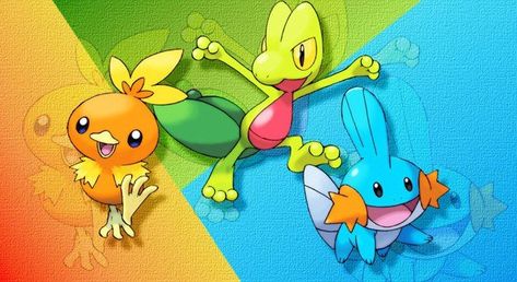 Facts About The Third Generation Starter Pokémon | The Fact Site Hoenn Starters, Pokémon Ruby And Sapphire, Fire Pokemon, Pokemon Emerald, Water Type Pokemon, Pokémon Ruby, Type Pokemon, All Pokemon, Kawaii Wallpaper