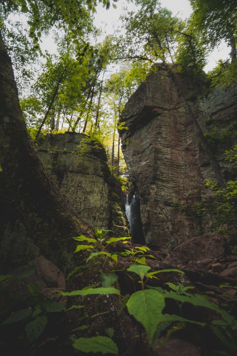 Woods Reference, Cliff Forest, Forest Cliff, Aesthetics 2023, Waterfalls In Georgia, Hiking In Georgia, University Series, Visit Georgia, Georgia Vacation