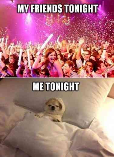 30 Best Funny Memes About The New Year That Are Guaranteed To Make You Laugh | YourTango New Years Eve Meme, Funny New Years Memes, Introvert Jokes, Introvert Vs Extrovert, Happy New Year Funny, New Years Eve Quotes, New Year Meme, Funny New Year, Introvert Humor