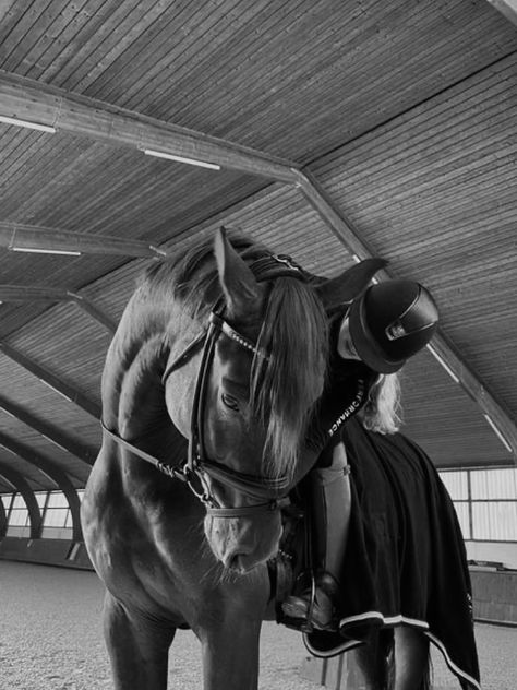 Horses Aesthetic, Horsey Life, Horse Competition, Pictures With Horses, Horse Riding Outfit, Equestrian Aesthetic, Cute Horse Pictures, Horse Camp, Horse Fashion