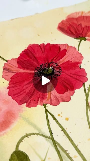 Emma Jane Lefebvre on Instagram: "The easiest way to paint a watercolour poppy! For more and full length tutorials, check out my YouTube channel! 
Brush: Emma Lefebvre x @craftamo
Watercolours: @shinhanart.official 

#lestweforget #watercolor #watercolour #beginnerwatercolor #beginnerwatercolour #watercolortutorial" Emma Lefebvre, Watercolour Poppy, Travel Art Journal, Emma Jane, Watercolor Poppies, Intuitive Painting, Watercolor Lessons, Watercolor Painting Techniques, Color Painting