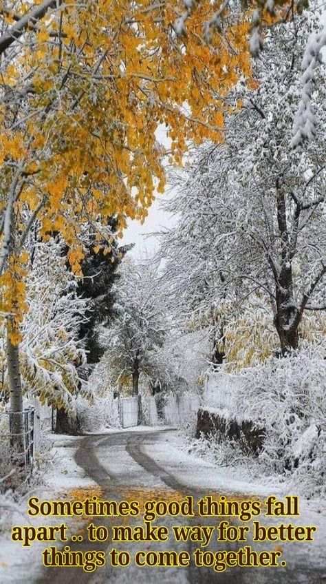 Beautiful Winter Pictures, Autumn Scenery, Winter Scenery, Winter Magic, Beautiful Locations Nature, Winter Beauty, World Photo, Aesthetic Photography Nature, Snow Scenes