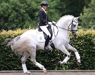 Equestrian Dressage, Horse Dressage, Grey Horse, Dressage Horses, Sport Horse, Clydesdale, Horse Equestrian, Equestrian Life, White Horses