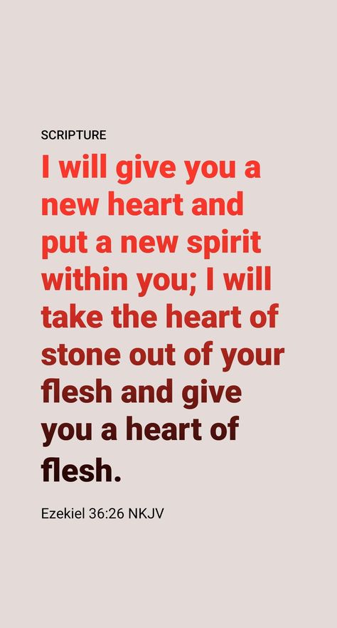 Jehovah has taken away from them any stoniness of heart and given them a “heart of flesh,” a heart moved by the love and affection to do his will. The “new spirit” Jehovah has put inside them is his holy spirit. This has caused them to produce the spirit’s fruitage​—“love, joy, peace, long-suffering, kindness, goodness, faith, mildness, self-control.”​—Ezek. 36:25-28; Gal. 5:22, 23. Long Suffering, Love Joy Peace, Love And Affection, New Heart, My Spirit, Self Control, Holy Spirit, A Heart, Good Things