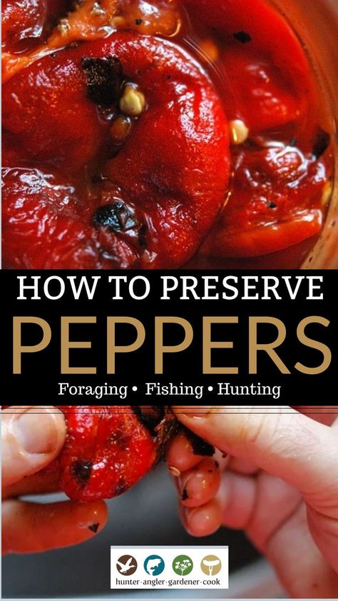 Consider, for a moment, the sweet pepper. No other plant demands so much, gives so little, yet keeps us coming back for more. Sweet peppers are the coquettes of my garden. I coddle them, dote on their every need, and in return they toss me a few fruits to play with — so few, in fact, that I can barely bring myself to eat them fresh. I preserve almost every one the little minxes give me to eat huddled, alone, in the dead of winter. | @huntgathercook #hankshaw #roastedredpeppers #howtoroastpeppers Preserving Peppers From Garden, Mad Hatter Pepper Recipes, Preserve Peppers, Preserving Peppers, Homemade Chili Powder, Sweet Pepper Recipes, Preserving Recipes, Friends Recipes, Jam Recipes Homemade