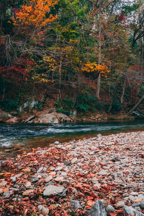 Helen Georgia Fall, Fall In Georgia, Georgia Fall, Helen Georgia, Helen Ga, Nature Autumn, Fall Camping, Georgia On My Mind, North Georgia