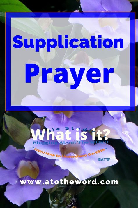 Leaders and Supplication Prayers! The other night, as I was getting ready for bed, I thought, Who makes the most effective supplication prayers? But the more I thought about this, the more I realize that all the effective supplication prayers, in the Bible, have this one feature in common. Click to know this feature! Prayers In The Bible, Supplication Prayer, Prayer Topics, Bible Prayers, Power Of Prayer, Getting Ready, Bible Study, The Bible, Bible Verses