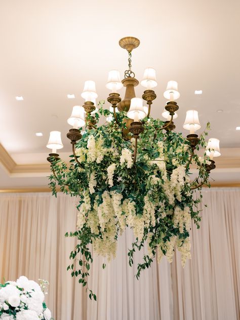 Greenery and white wisteria chandelier flowers Wisteria Chandelier Wedding, Chandelier With Greenery Wedding, Greenery On Chandelier, Chandelier With Greenery, Wisteria Chandelier, Wedding Wisteria, Chandelier Greenery, Chandelier Flowers, Floral Chandelier Wedding