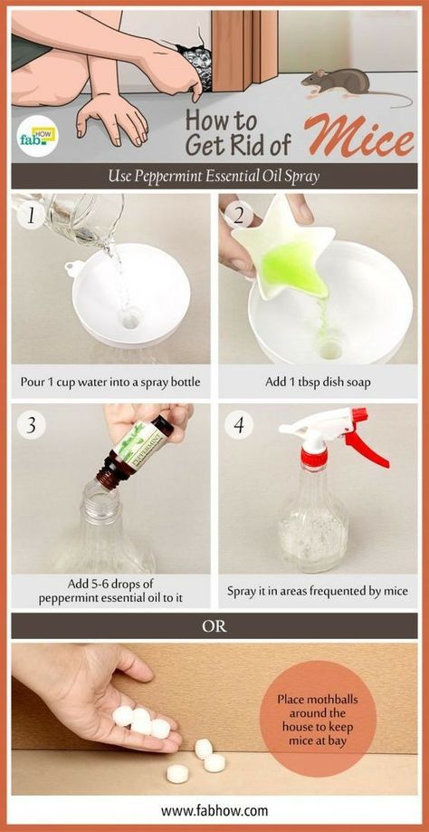 Diy Mice Repellent, Killing Mice, Mouse Repellent, Rodent Repellent, Mice Repellent, Getting Rid Of Mice, Diy Pest Control, Essential Oil Spray, Natural Pest Control