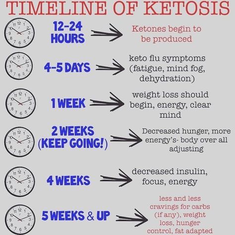 Ellen | Keto Life Style 💕 on Instagram: “Timeline of ketosis! For those of you who have given up after a week or so, don’t! Ketosis is in stages, follow them, fight it. You’ll get…” Keto Results, Lchf Diet, Diets For Beginners, Keto Meals, Keto Transformation, Diet Help, Clear Mind, Keto Desserts, Diet Keto