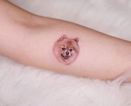 14 Awesome Tattoo Ideas For Pomeranian Owners | PetPress Pomeranian Tattoo Ideas, German Spitz Tattoo, Pomeranian Line Art, Pomeranian Tattoo, Awesome Tattoo Ideas, Tatoo Dog, Simple Line Tattoo, Dog Portrait Tattoo, Puppy Tattoo