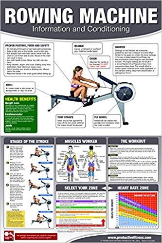 Rowing Machine Poster/Chart: How to use a rower - How to use an Erg - Full Body Workout Laminated - 24x36 inches: Mike Jespersen: 9781926534565: Amazon.com: Books Rowing Machine Workout, Fitness Hacks, Rowing Workout, Indoor Rowing, Rowing Machine, Popular Workouts, Mental Training, Motivation Fitness, Band Workout