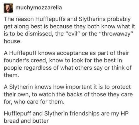 Slytherin and Hufflepuff Hufflepuff Dating Slytherin, Hufflepuff Boyfriend, Slytherin Friends, Slytherin And Hufflepuff, Hufflepuff Pride, Slytherin Pride, Harry Potter Hufflepuff, Harry Potter Houses, Harry Potter Headcannons