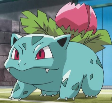 Ivysaur Ivysaur Pokemon, Bulbasaur Pfps, Pokemon Green Aesthetic, Pokemon Pfp Squirtle, Pokemon Art Bulbasaur, Ivysaur Art, Ivysaur Pokemon Art, All Anime Characters, Gym Leaders