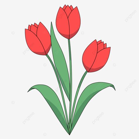 Flower Illustrations, Tulip Flower, Red Tulips, Tulips Flowers, Flower Illustration, Clipart Images, Png Transparent, Png Clipart, Free Png