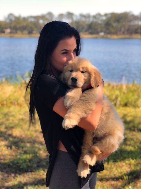 Golden retriever puppy picture @wheres_bash Golden Retriever And Owner, Puppy Pictures With Owners, Poses With Puppy, Pictures With Puppy, Laugh Face, Dog Laughing, Holding Puppy, Dog Photoshoot Pet Photography, Dog Photography Poses