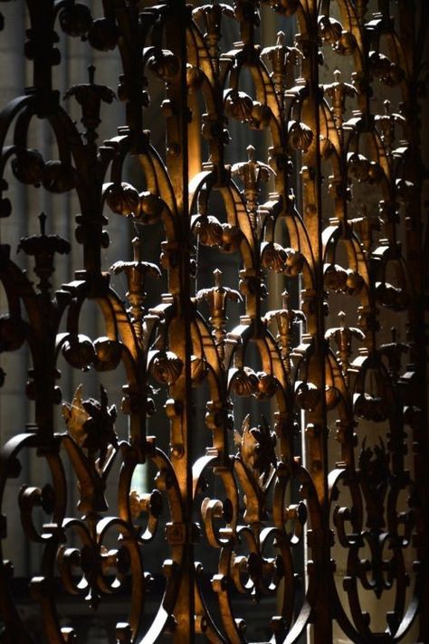 Rustic Gates, Materials Board, Scenic Places, Afternoon Light, Wrought Iron Gate, Wrought Iron Gates, Brown Chocolate, Brown Eyed Girls, Iron Fence