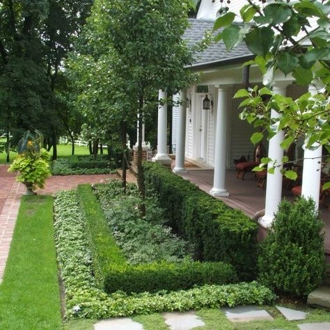 I like the idea of the ground cover growing in front of the hedge as a transition. Front Yard Hedges, French Country Garden Decor, Country Garden Decor, French Country Garden, Farmhouse Landscaping, Front Landscaping, Formal Gardens, Straight Lines, Ground Cover