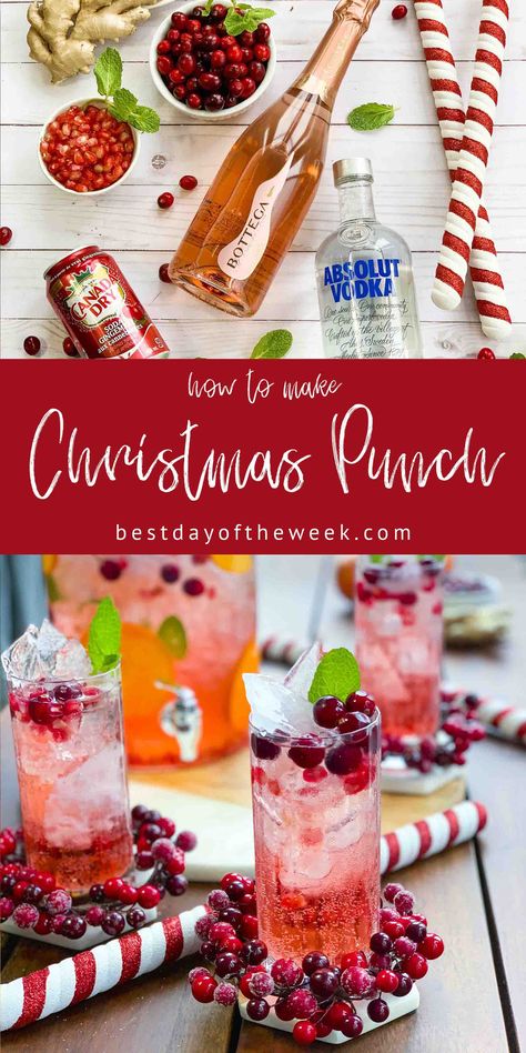 Holiday Cocktail Punch Recipes, Vodka Party Drinks For A Crowd, Winter Big Batch Cocktails, Christmas Pitcher Drinks Alcohol, Christmas Pitcher Cocktails Vodka, Alcoholic Drinks For A Party Large Punch Bowls Cocktail Recipes, Christmas Drinks Alcohol Pitcher, Alcohol Punch Recipes For A Crowd, Canada Dry Cranberry Ginger Ale Cocktail