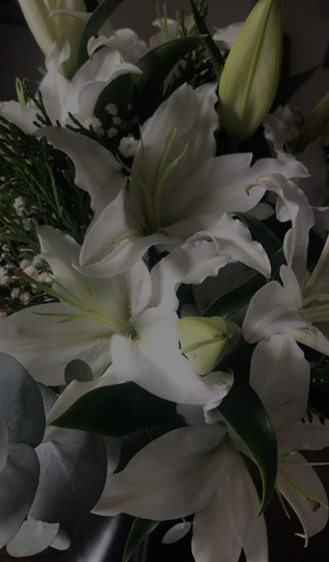 Lillies Flowers Aesthetic, White Lily Bouquet, Butterfly Baby Shower Decorations, Lily Wallpaper, Halloween Wallpaper Iphone Backgrounds, Butterfly Wallpaper Iphone, Nothing But Flowers, Halloween Wallpaper Iphone, Flower Therapy