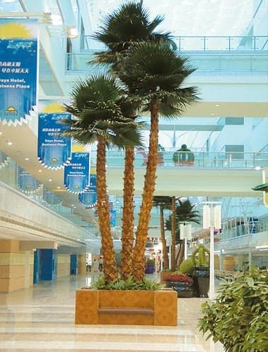 Artificial TreeWe Beijing Palm Company. Specialized  in producing the artificial trees and plants for more than 20 years. We provide good quality products which can be customized. We can suggest the p... Palm Trees For Sale, Short Trees, Door Tree, Coconut Palm Tree, Artificial Plants And Trees, Fake Trees, Live Tree, Ficus Tree, Artificial Plants Outdoor