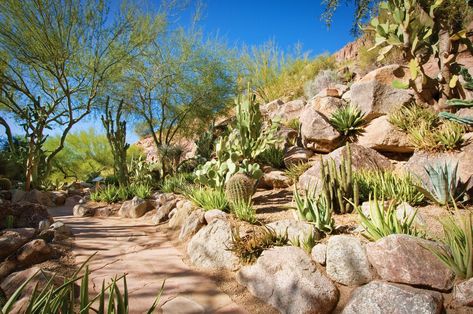 Arizona Resorts, Scottsdale Resorts, Massage Business, Luxury Collection Hotels, Garden Walkway, Southwest Desert, Garden Tours, Luxury Spa, Cactus Garden