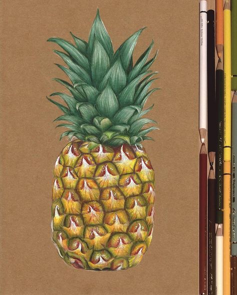 Drawing Fruit, Pineapple Drawing, Fruit Art Drawings, Fruits Drawing, 3d Art Drawing, Amazing Drawings, Drawing Pencil, Coloured Pencils, Fruit Art