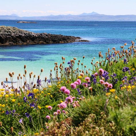 The Isle of Coll, Scotland. (Via annmarie.edmondson/Instagram.) Hebrides Islands, Scottish Isles, Highland Fling, Hebrides Scotland, British Beaches, Art Plage, Fresh Morning, Places In Scotland, Lovely Places