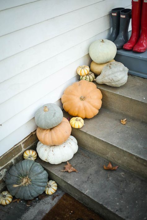 fall pumpkins, how to decorate your front porch with pumpkins, how to decorate your front porch for fall, thanksgiving decor, Door Stairs, Front Porch For Fall, Porch Pumpkins, Fall Thanksgiving Decor, Fall Deco, Pumpkin Ideas, Fall Decorations Porch, Pumpkin Seasoning, Fall Decorating