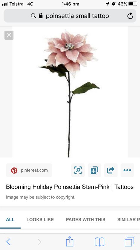 Poinsettia Tattoo, Holiday Stem, Sleeve Tattoos For Women, Tiny Tattoos, Tattoos And Piercings, Small Tattoos, I Tattoo, Sleeve Tattoos, Tattoos For Women